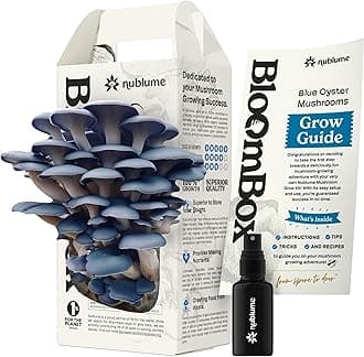 Blue Oyster Mushroom Grow Kit – Ready-to-Fruit Indoor DIY Mushroom Kit – Grow Mushrooms at Home in 7–10 Days – Easy Gourmet Umami – Culinary Grade – BloomBox Promise