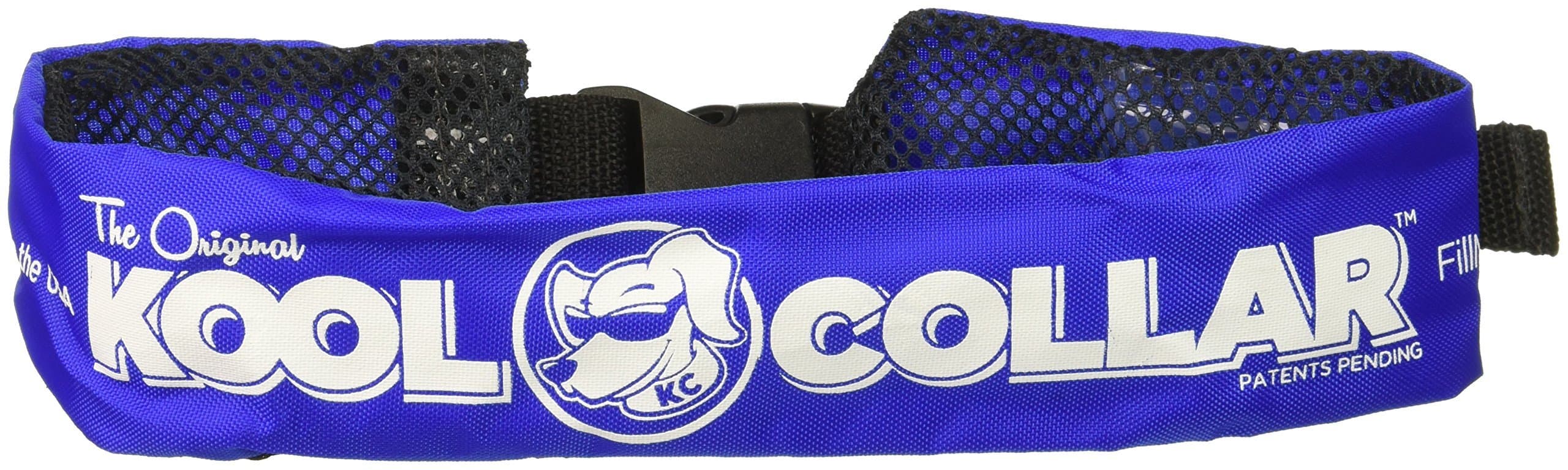 Electric Blue, Sizes: Large 24in30.5in