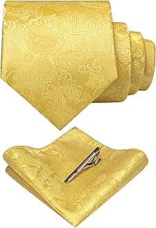 JEMYGINS Mens Solid Color Paisley Necktie and Pocket Square with Tie Clip Sets