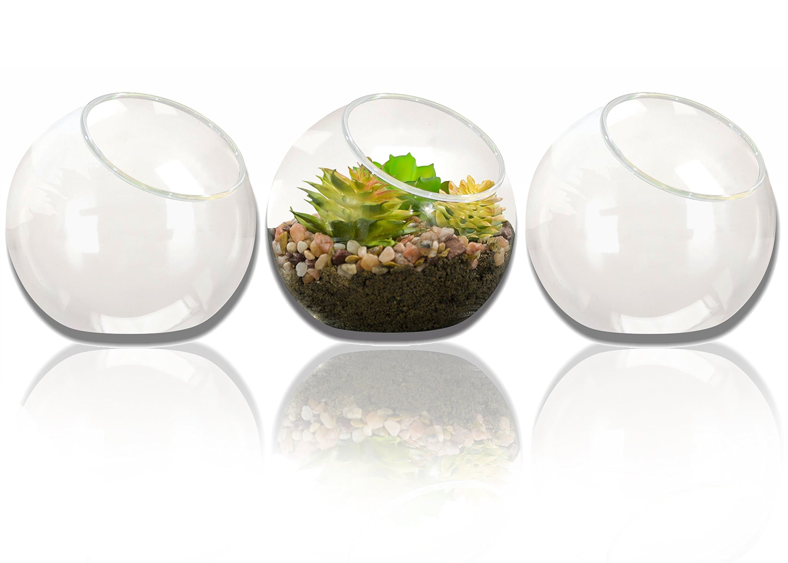 Tabletop Glass Plant Terrarium (3 Pcs)