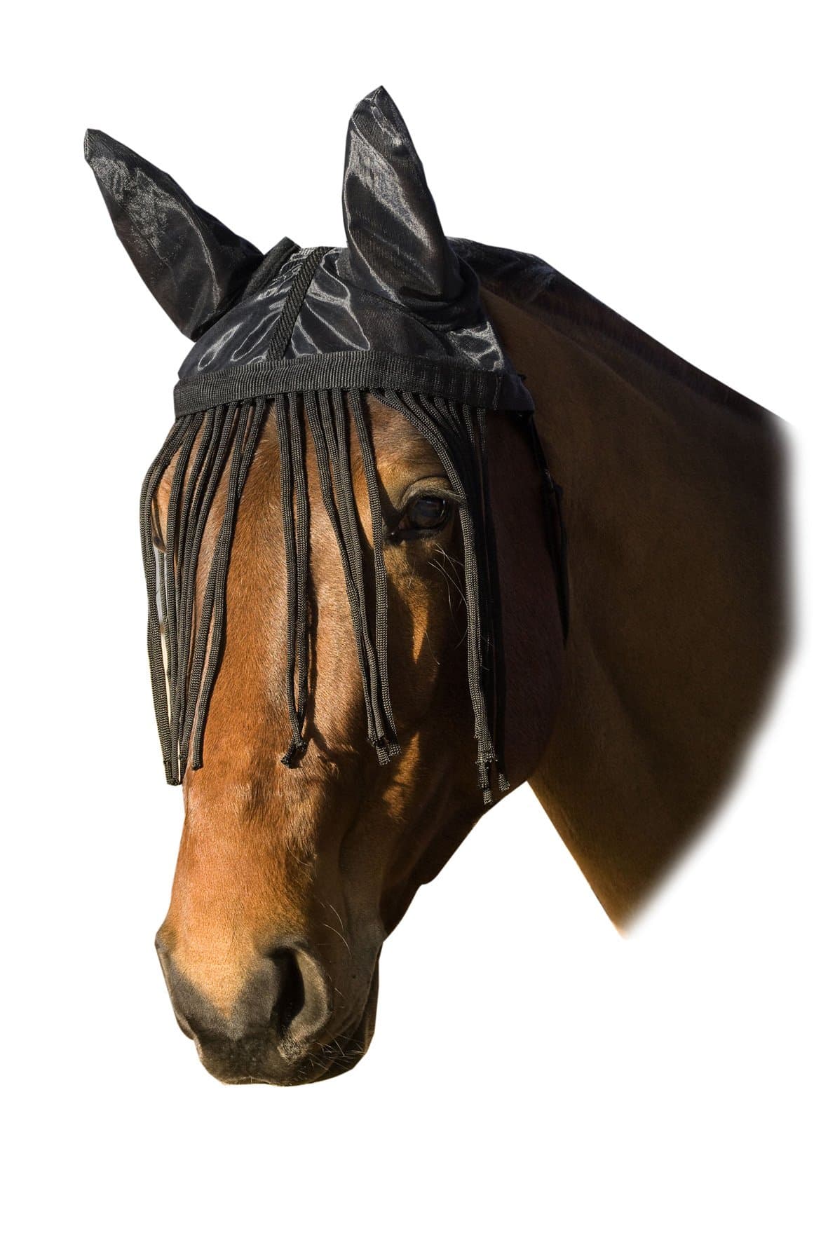 Fly Veil with Ear Protector/Fringes, FulLarge, Black