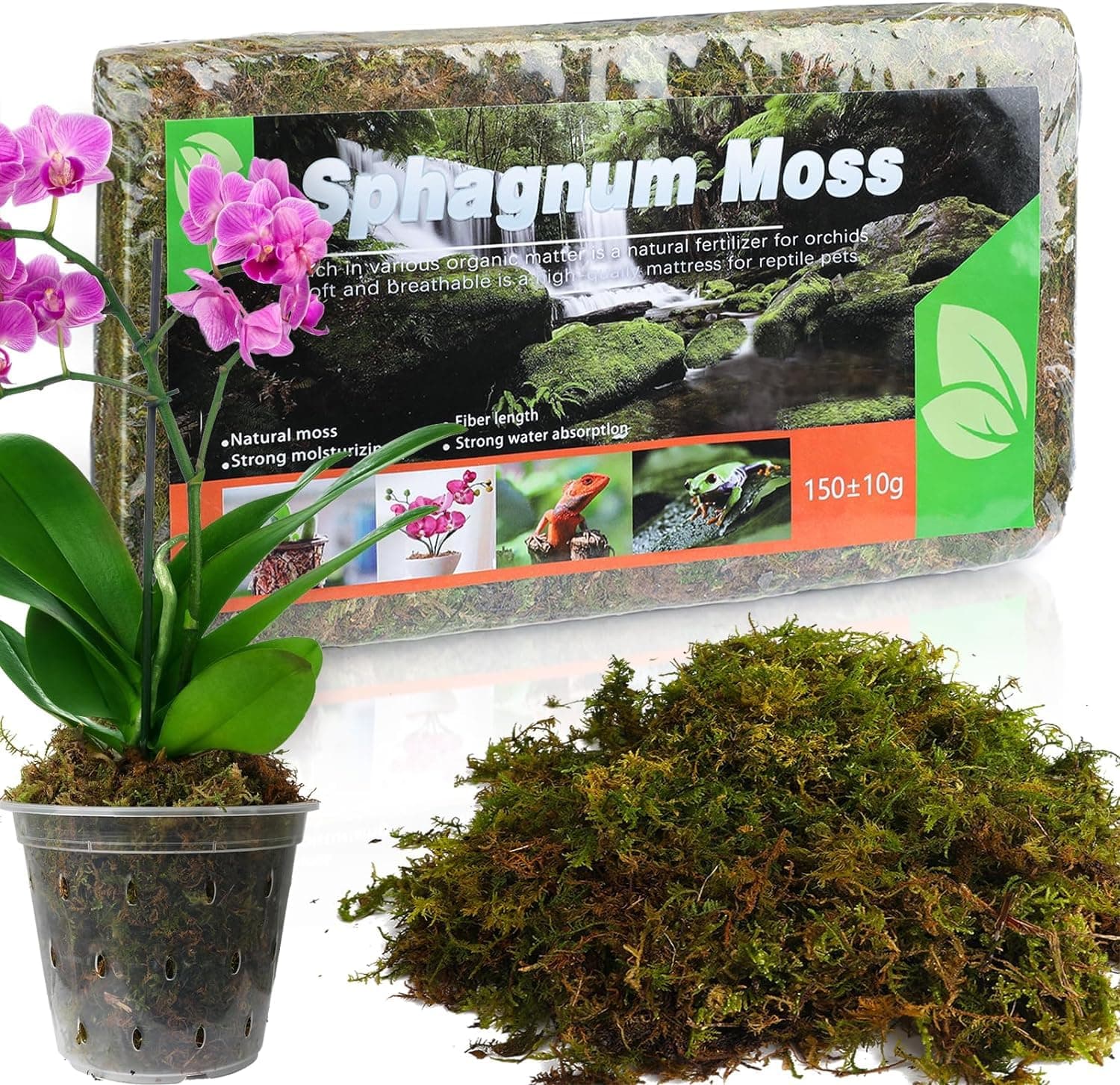 Dried Forest Moss for Plants (5 qt / 1 Pack), Sphagnum Potting Moss for Various Plants, Including Orchids, Carnivorous Plants, Succulents, Garden Flowers, and Reptiles