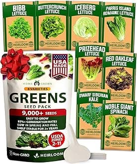 Lettuce Seeds for Planting - 8 Varieties Non-GMO Heirloom Salad Greens Seeds - 9000+ USA-Sourced Vegetable Seeds for Planting Outdoors, Indoors, Hydroponic Garden