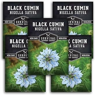 Survival Garden Seeds Black Cumin Seed for Planting - 5 Packets with Instructions to Plant and Grow Beneficial Nigella Sativa Plants in Your Home Vegetable Garden - Non-GMO Heirloom