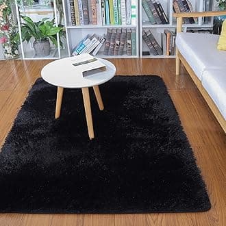 Soft Modern Indoor Shaggy Area Rug for Bedroom Livingroom Dorm Kids Room Home Decorative, Non-Slip Plush Fluffy Furry Fur Rugs Comfy Nursery Accent Floor Carpet 2x3 Feet, Black