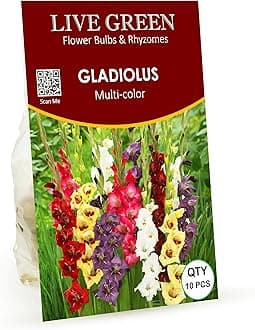 Gladiolus Double Petal Mixed Imported Flower Bulbs - Pack of 10