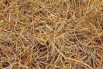 Pmw - Paddy Straw(2 Kg) for Mushroom Farming and Gardening,Natural Rice Straw for Organic Mulching 100% Pure & Organic