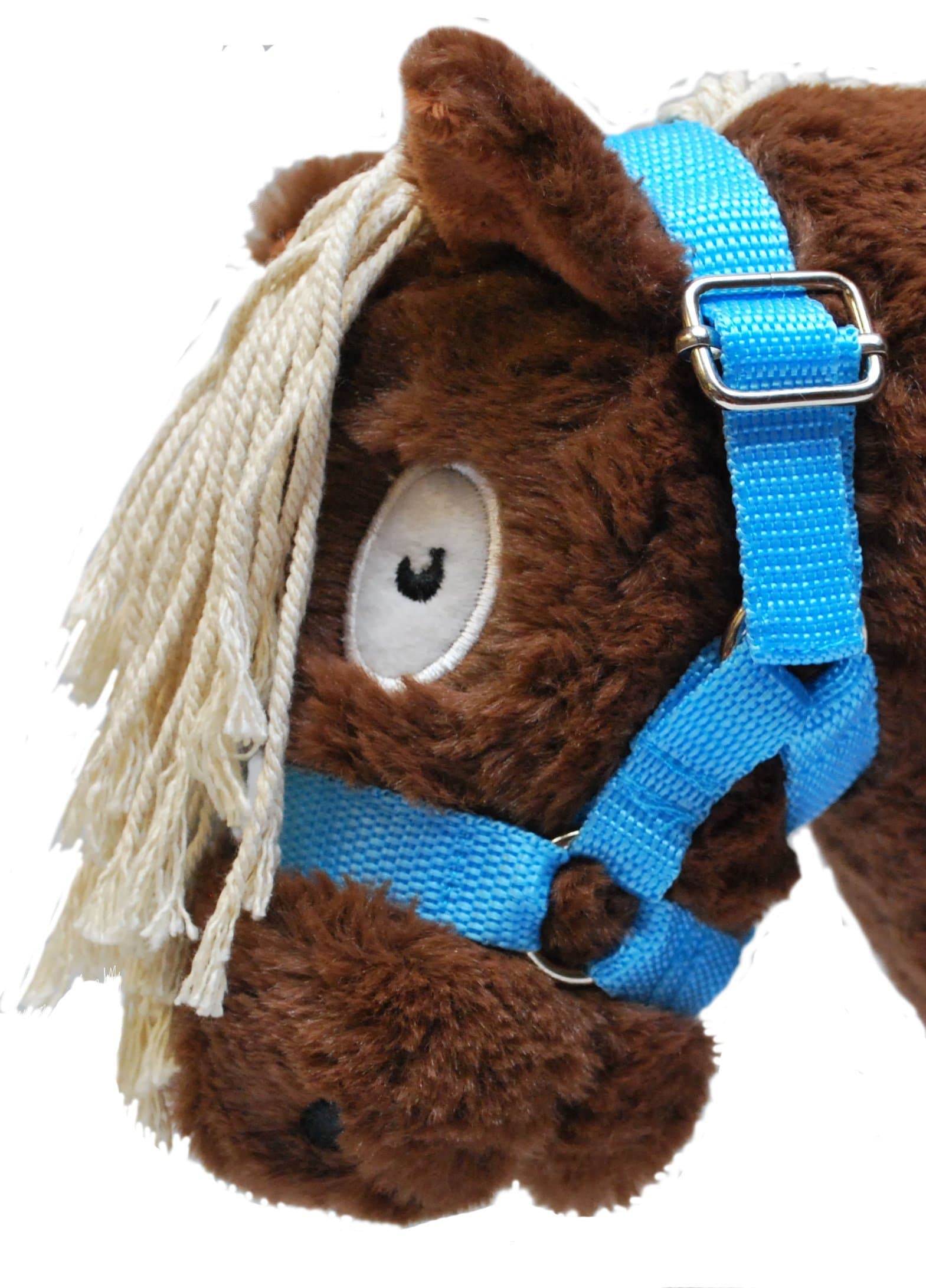 Crafty Ponies Head Collar with educational booklet (Blue)