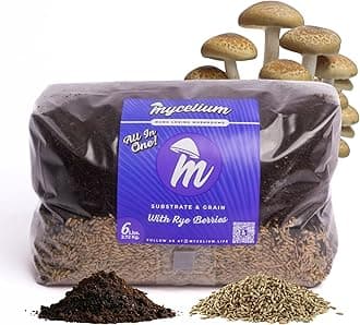 Mycelium 6LB Mushroom Grow Kit | All-in-One CVG Substrate & Rye Berries Grain Bag | Injection Port & Filter Patch | Grow Dung-Loving Mushrooms at Home – Just Add Liquid Culture