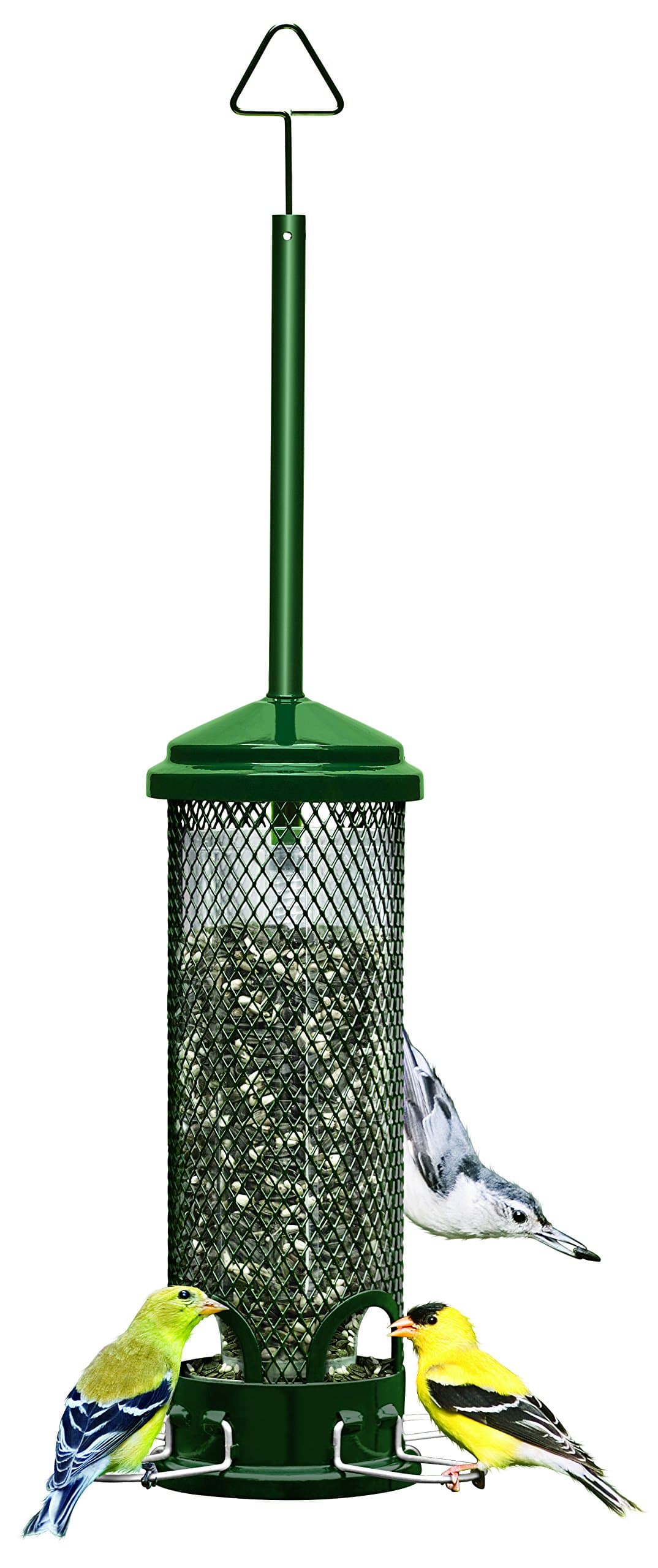 Mini Squirrel-Proof Bird Feeder for Wild Birds – 4 Metal Perches, 1 lb Seed Capacity, Chew-Proof Design, Lifetime Care, Garden Green