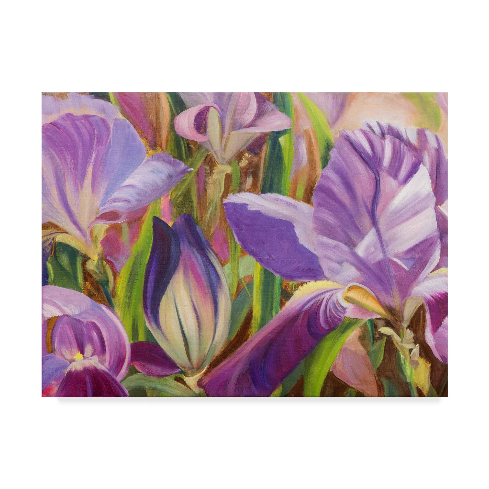 Iris Details I by Sandra Iafrate, 14x19