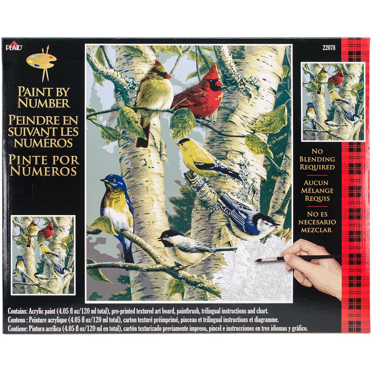 Plaid Creates Paint by Number Kit (16 by 20-Inch), Song Birds