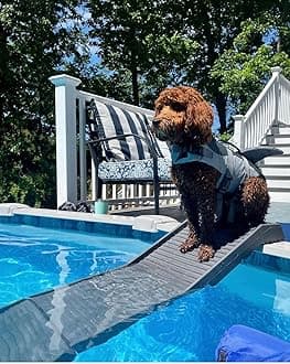 PetStep Dog Ramp for Pools (Long Legs, Graphite/Gray)