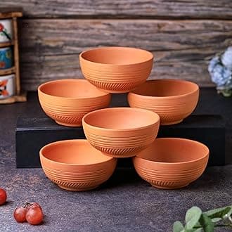 THE HANDICRAFTIANTerracotta Dry Fruits Special Bowl Set of 6
