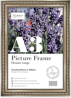 A3 Gunmetal Ornate Picture Frame Fits A3 (29.7 x 42cm - 11.7 x 16.5in) Poster, Photo, Artwork, or Print. Shabby Chic Style Portrait and Landscape Display with Wall Hooks