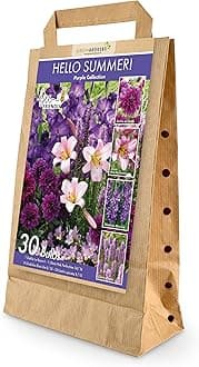 30 Hello Summer Purple Summer Bulb Collection | Purple Bulb Varieties | Eco Packaging | Plant Now Ready to Bloom in Summer