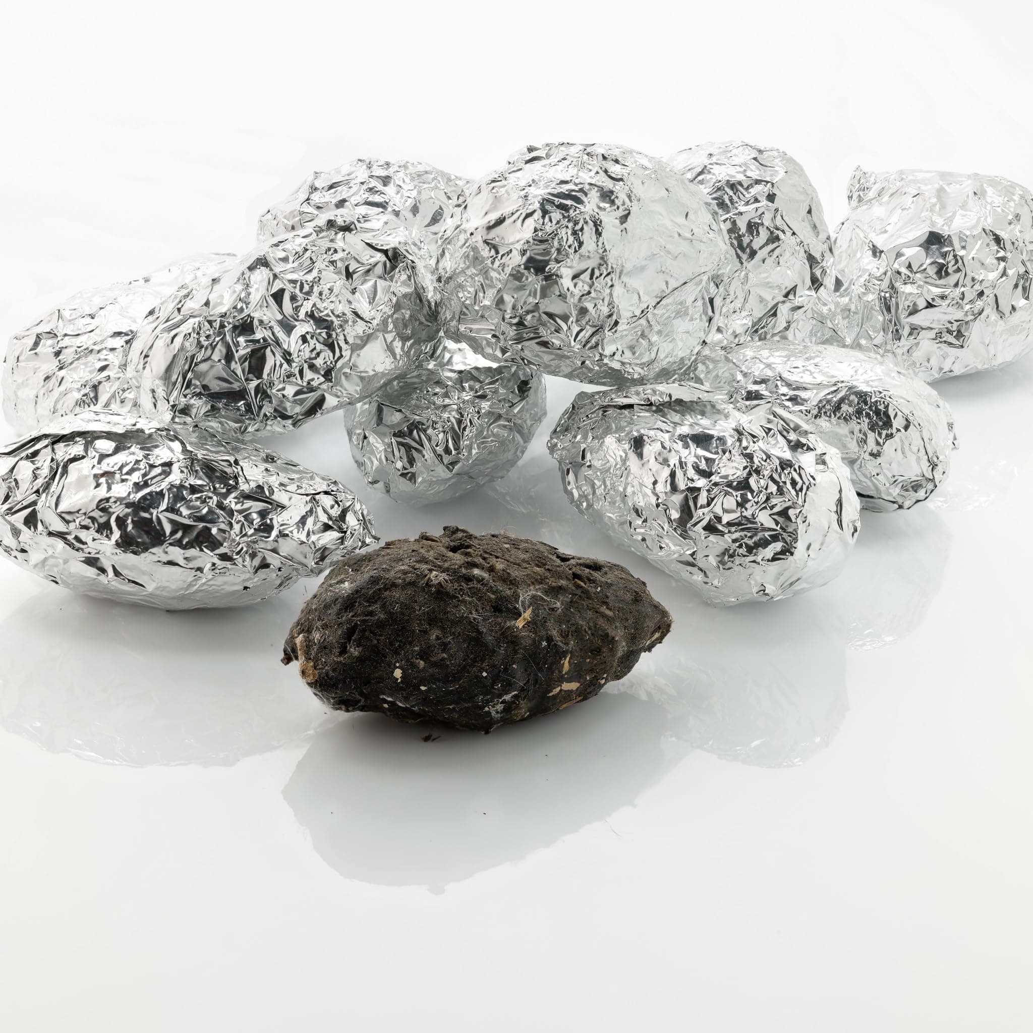 Pellets Barn Owl Pellet, Small (Pack of 20)