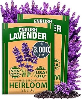 HOME GROWN Non GMO English Lavender Seeds 3,000+ Wildflower Seed for Planting Indoor/Outdoor, High Germination, Plant Flower Seeds (Lavandula antustifolia)