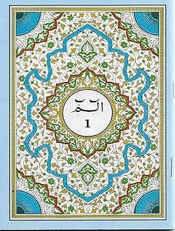 Al Hasanat Books Pvt Ltd Quran 30 Para Set Arabic 2 Colours Blue 1-30 Juj With Bag
