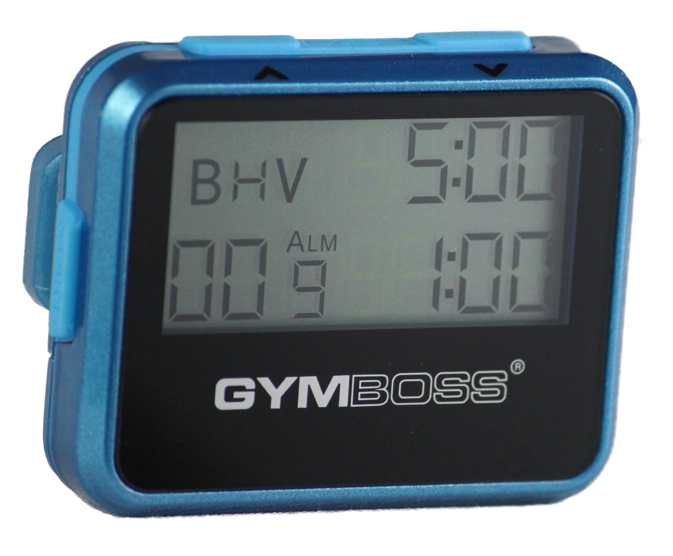 Interval Timer and Stopwatch - Teal/Blue Metallic Gloss