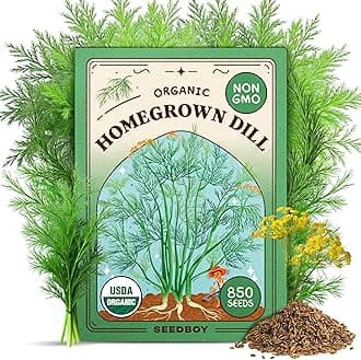 Seedboy Organic Dill Seeds for Planting Indoor and Outdoor, Non-GMO and USDA Certified Herb Seed Packet for Hydroponic Garden Indoor or Planting Outdoors (Bouquet Dill)