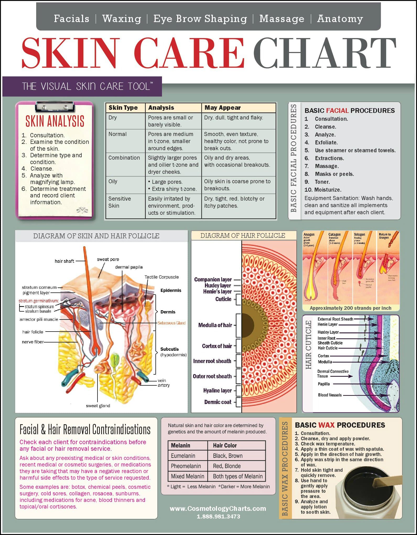 Ciao Bella Enterprises Skin Care Chart - 2-Sided Laminated Quick Reference Guide - Covers Skin Care Services, Facials, Waxing, Eye Brow Shaping, Massage & Anatomy