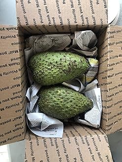 Fresh Guanabana (Soursop, Graviola) 1-2 Lb Fruit