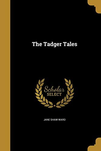The Tadger Tales Paperback – August 27, 2016