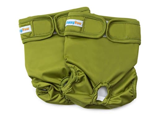 HappyPaw 2pc Green Dog Diaper … (X-SMALL)