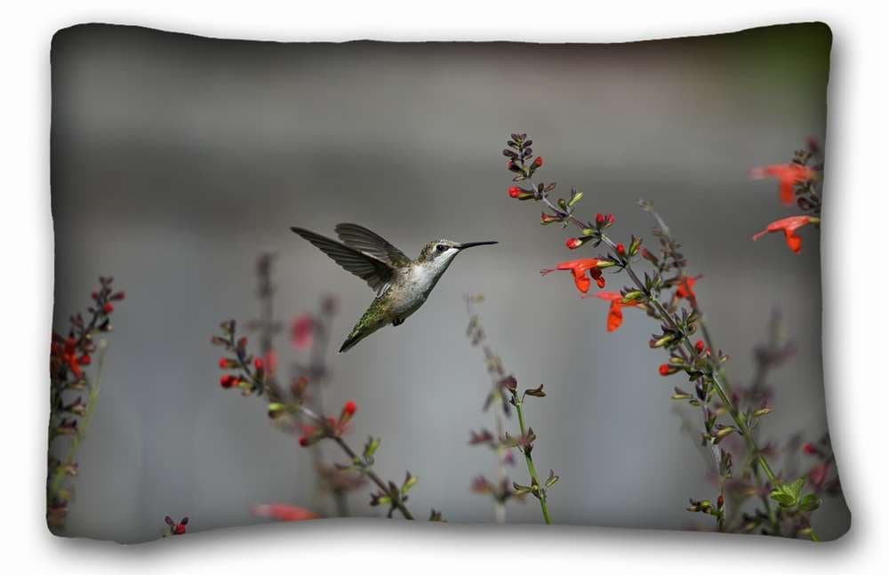 Custom Characteristic ( Animals bird Humming ) Custom Cotton & Polyester Soft Rectangle Pillow Case Cover 20x30 inches (One Side) suitable for X-Long Twin-bed