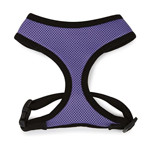 Casual Canine Mesh Dog Harness, Medium, Purple