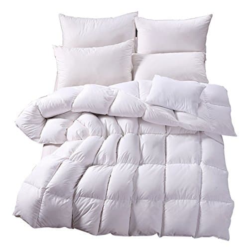 Nature Goose Down and Feather Bed Comforter Quilt Duvet Insert,100% Orangic Cotton Shell,White (Full/Queen(90×90inch))