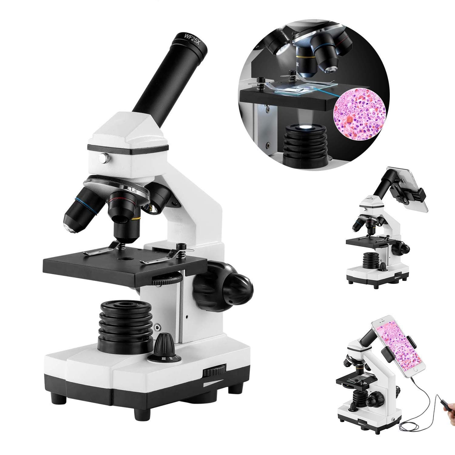 XDDWD Monocular microscope for students and children, 200-2000x magnification Powerful biological learning microscopes with surgical equipment (10p), slide set (15p)