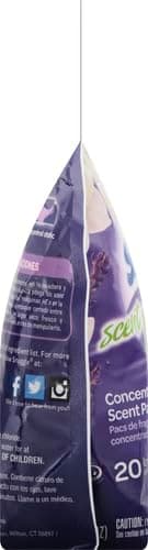 Island Hibiscus & Rainflower