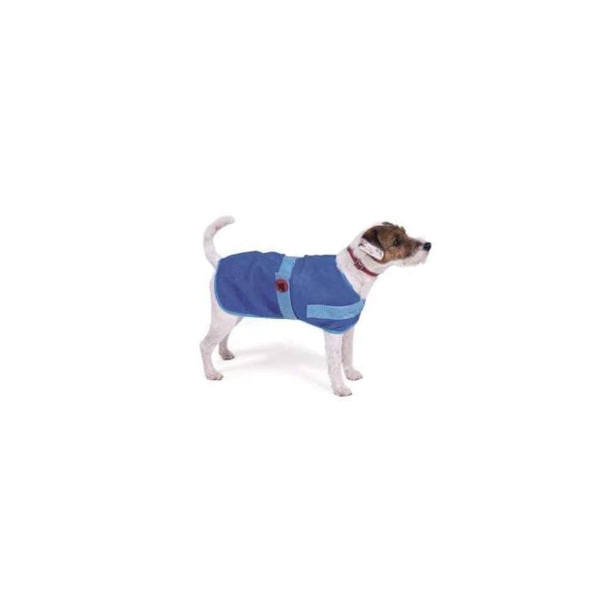 PetfaceCooling Summer Dog Coat, 50 cm, Blue