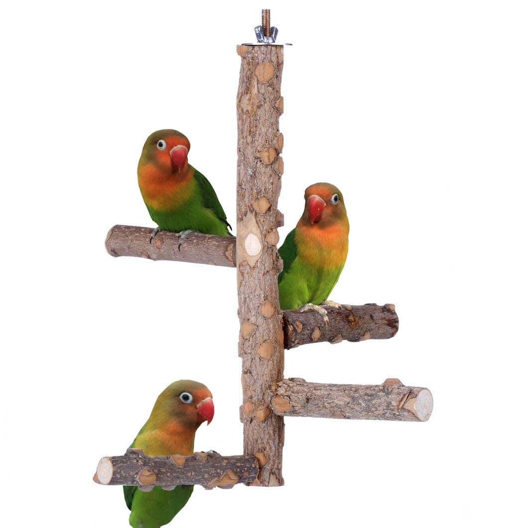 Bird Perch Nature Wood Stand for 3-4pcs Small Medium Parrots (S)