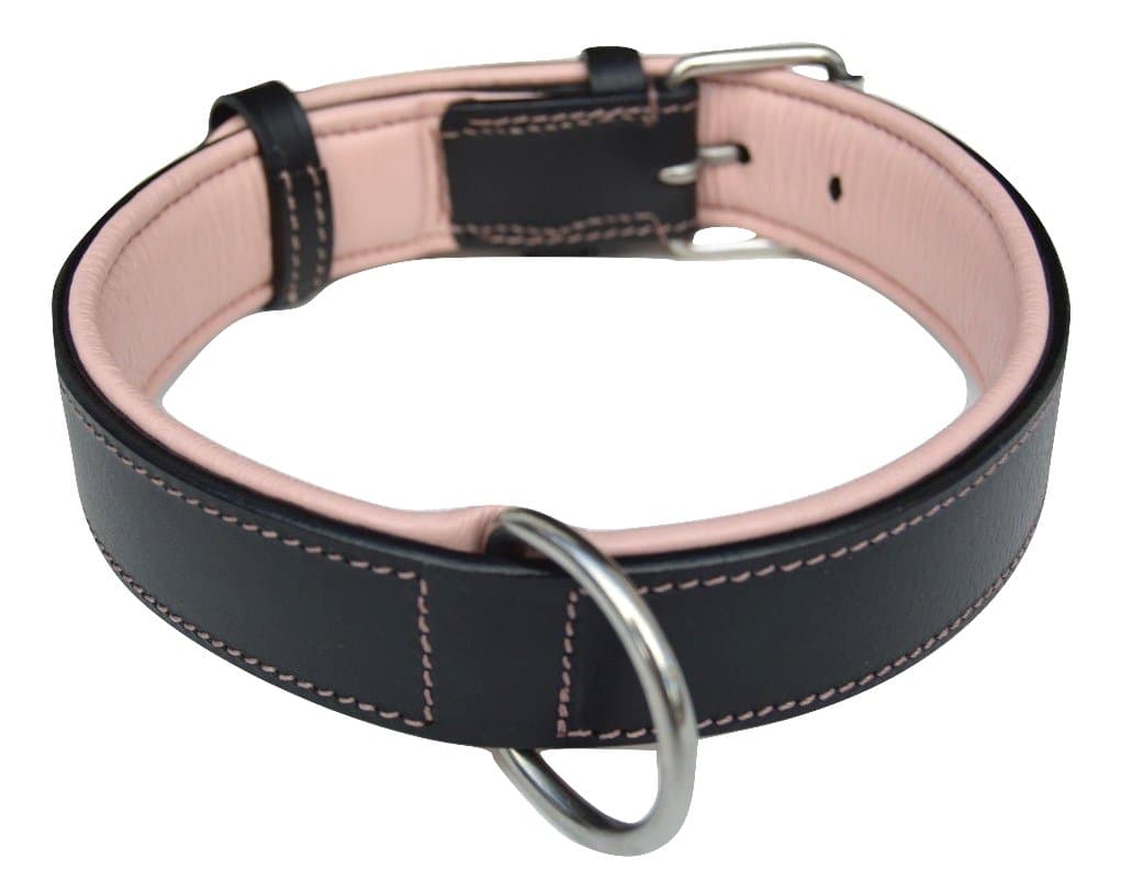 Padded Dog Collar Leather, Black with Pink Padding, Size Large, Great for Female Dogs, 1.5" Wide