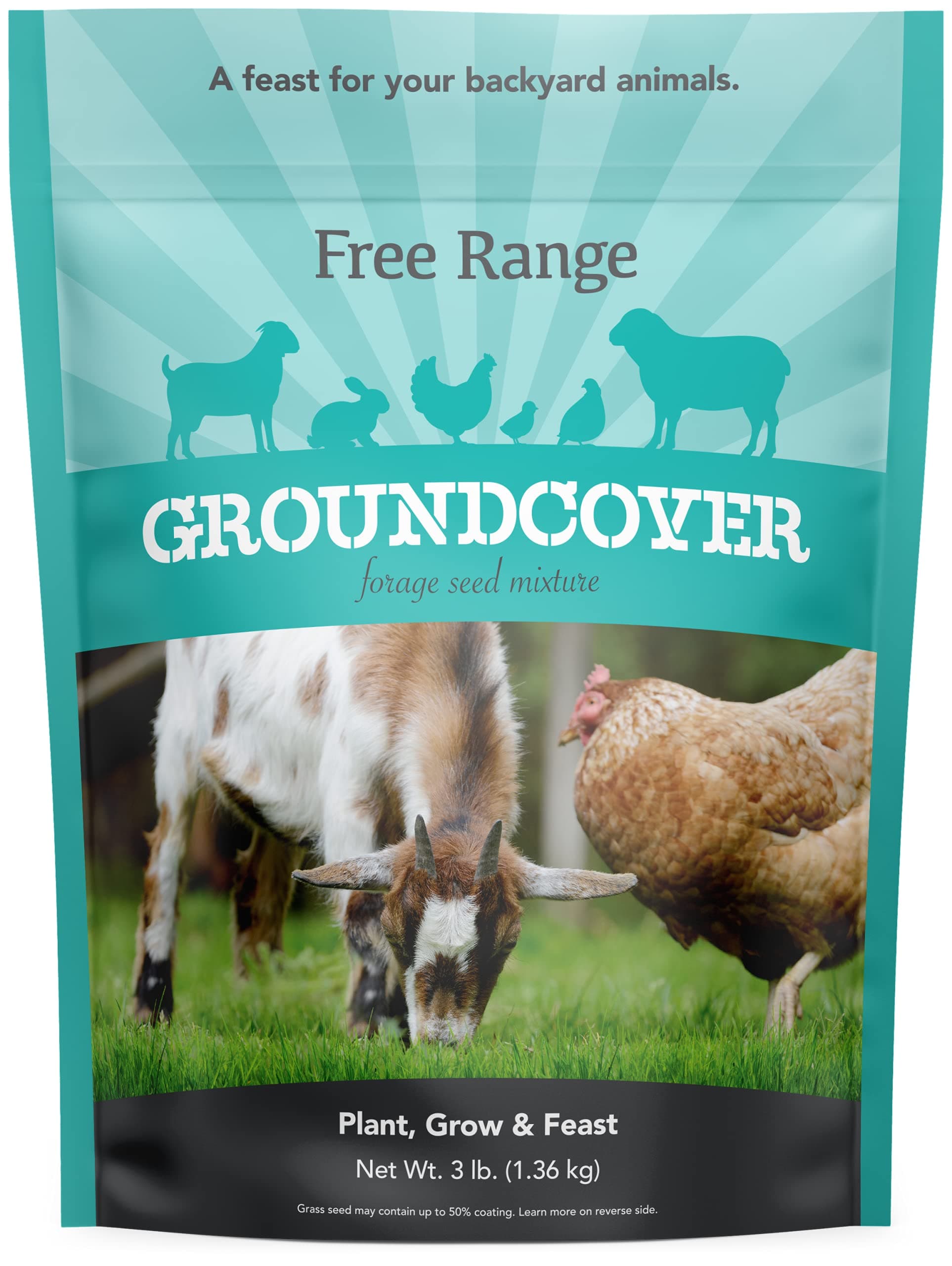 Free Range GroundCover Forage Seed Mixture - Ideal for Chickens, Game Birds, Goats, and Sheep - 3 lb Bag, Blue